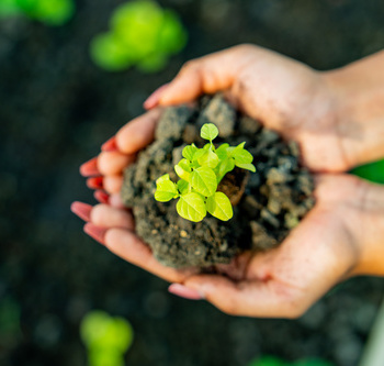 Инженерные биологические системы: междисциплинарное образование в школах - fgospostavki.ru - Дмитров