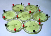 Демонстрационный комплект «Силовые линии электрического поля разных систем зарядов» - fgospostavki.ru - Дмитров