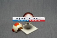 Модель "Глаз человека" (лабораторная) - fgospostavki.ru - Дмитров