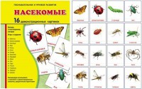 Демонстрационные карточки "Насекомые" - fgospostavki.ru - Дмитров
