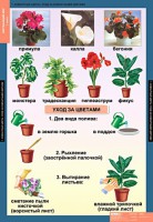 Комплект таблиц. Окружающий мир 1 класс. - fgospostavki.ru - Дмитров