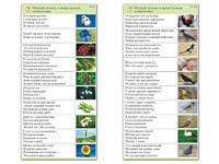 Комплект карточек (10) "Обучающий калейдоскоп. Природа" - fgospostavki.ru - Дмитров