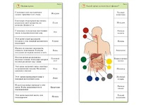 Комплект карточек (10) "Обучающий калейдоскоп. Человек" - fgospostavki.ru - Дмитров