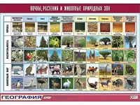 Таблица демонстрационная "Почвы, растения и животные природных зон" (винил 100*140) - fgospostavki.ru - Дмитров
