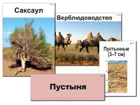 Модель-аппликация "Природные зоны России" (ламинированная) - fgospostavki.ru - Дмитров