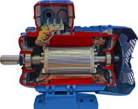 Учебная модель «Электродвигатель асинхронный в разрезе» - fgospostavki.ru - Дмитров