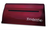 Принтер для печати рельефно-точечным шрифтом Брайля Trident - fgospostavki.ru - Дмитров