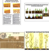 Плакаты ПРОФТЕХ "Агрономия" (5 пл, винил, 70х100) - fgospostavki.ru - Дмитров