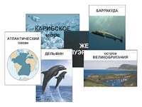 Модель-аппликация "Океаны. Знакомство" (ламинированная) - fgospostavki.ru - Дмитров
