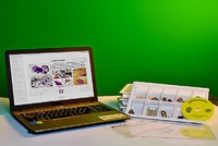 Коллекция натурально-интерактивная "Кварц в природе" - fgospostavki.ru - Дмитров