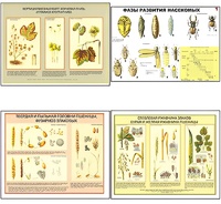 Плакаты ПРОФТЕХ "Вредители и болезни с/х культур и меры борьбы с ними" (11 пл, винил, 70х100) - fgospostavki.ru - Дмитров