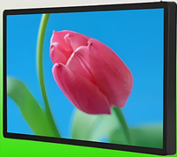 Киоск информационный настенный сенсорный 27" (вариант 2) - fgospostavki.ru - Дмитров