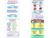 Плакаты ПРОФТЕХ "Классификации и виды мяса" (4 пл, винил, 70х100) - fgospostavki.ru - Дмитров