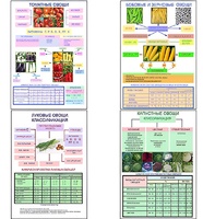 Плакаты ПРОФТЕХ "Классификация овощей" (11 пл, винил, 70х100) - fgospostavki.ru - Дмитров