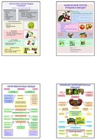 Плакаты ПРОФТЕХ "Классификация овощей и переработка" (8 пл, винил, 70х100) - fgospostavki.ru - Дмитров