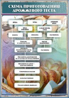 Стенд "Схема приготовления дрожжевого теста" - fgospostavki.ru - Дмитров