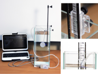 Набор демонстрационный «Гидростатика и плавание тел» - fgospostavki.ru - Дмитров