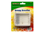 Набор микропрепаратов для микроскопа №2 «Насекомые» - fgospostavki.ru - Дмитров