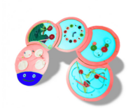 Тактильно-развивающая панель «Гусеница» - fgospostavki.ru - Дмитров