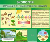 Стенд "Экология. Организация и функционирование сообществ" - fgospostavki.ru - Дмитров