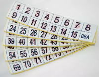 Фишки для игры «Бинго» со шрифтом Брайля - fgospostavki.ru - Дмитров