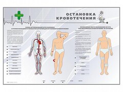 Электрифицированный стенд "Остановка кровотечения" - fgospostavki.ru - Дмитров