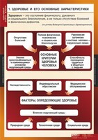 Комплект таблиц. ОБЖ. Здоровый образ жизни. - fgospostavki.ru - Дмитров