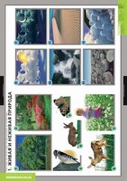 Комплект таблиц. Окружающий мир. Летние и осенние изменения в природе. - fgospostavki.ru - Дмитров