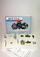 Гербарий "Морфология растений" (5 тем х 3 листа) - fgospostavki.ru - Дмитров