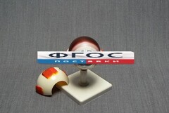 Модель "Глаз человека" (лабораторная) - fgospostavki.ru - Дмитров