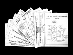 Комплект таблиц для 9-11 классов "Валеология и органическая химия" Комплект 2 - fgospostavki.ru - Дмитров