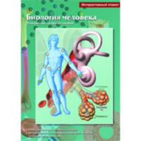 Интерактивные плакаты. Биология человека. Программно-методический комплекс - fgospostavki.ru - Дмитров