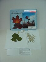 Гербарий "Медоносные растения" (24 вида) - fgospostavki.ru - Дмитров