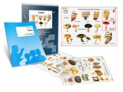 Комплект кодотранспарантов "Грибы" - fgospostavki.ru - Дмитров