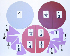 Набор магнитных карточек "Доли и дроби - 1" - fgospostavki.ru - Дмитров