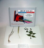 Гербарий "Кормовые растения" (20 видов) - fgospostavki.ru - Дмитров