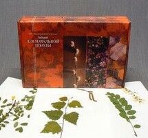 Гербарий для Начальной школы (28 видов) - fgospostavki.ru - Дмитров