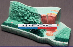 Модель "Структура листа" - fgospostavki.ru - Дмитров