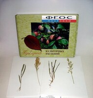 Гербарий "Культурные растения" (28 видов) - fgospostavki.ru - Дмитров