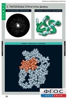 Комплект таблиц. Химия. Белки и нуклеиновые кислоты. - fgospostavki.ru - Дмитров