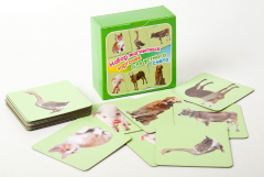 Набор магнитных карточек "Устный счет" (фон зеленый) - fgospostavki.ru - Дмитров