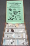 Коллекция "Многообразие раковин моллюсков" - fgospostavki.ru - Дмитров