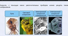 Интерактивные курсы. Биология 5 класс. Расширенный - fgospostavki.ru - Дмитров
