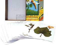 Гербарий "Сельскохозяйственные растения России" - fgospostavki.ru - Дмитров