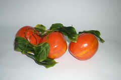 Ветка муляжей "Гранат" - fgospostavki.ru - Дмитров