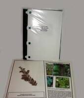 Гербарий "Эволюция высших растений" (ламинированный) - fgospostavki.ru - Дмитров