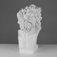 Бюст Лаокоона (гипс) - fgospostavki.ru - Дмитров