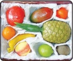 Набор муляжей тропических фруктов - fgospostavki.ru - Дмитров