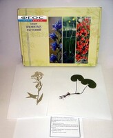 Гербарий "Ядовитые растения" (20 видов) - fgospostavki.ru - Дмитров