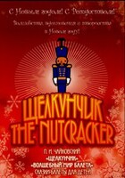 DVD "Щелкунчик. Волшебный мир балета" сказка-балет для детей - fgospostavki.ru - Дмитров